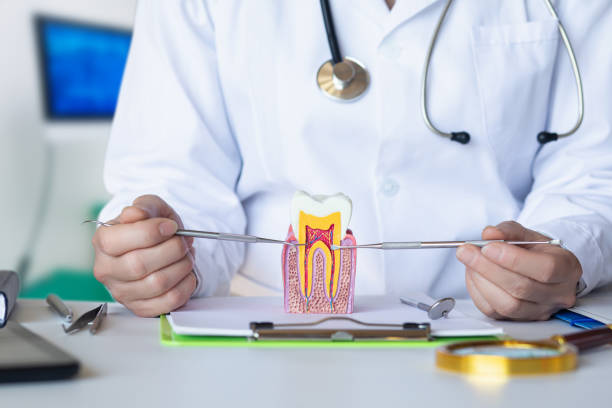 Best Emergency Tooth Extraction in Hugo, MN